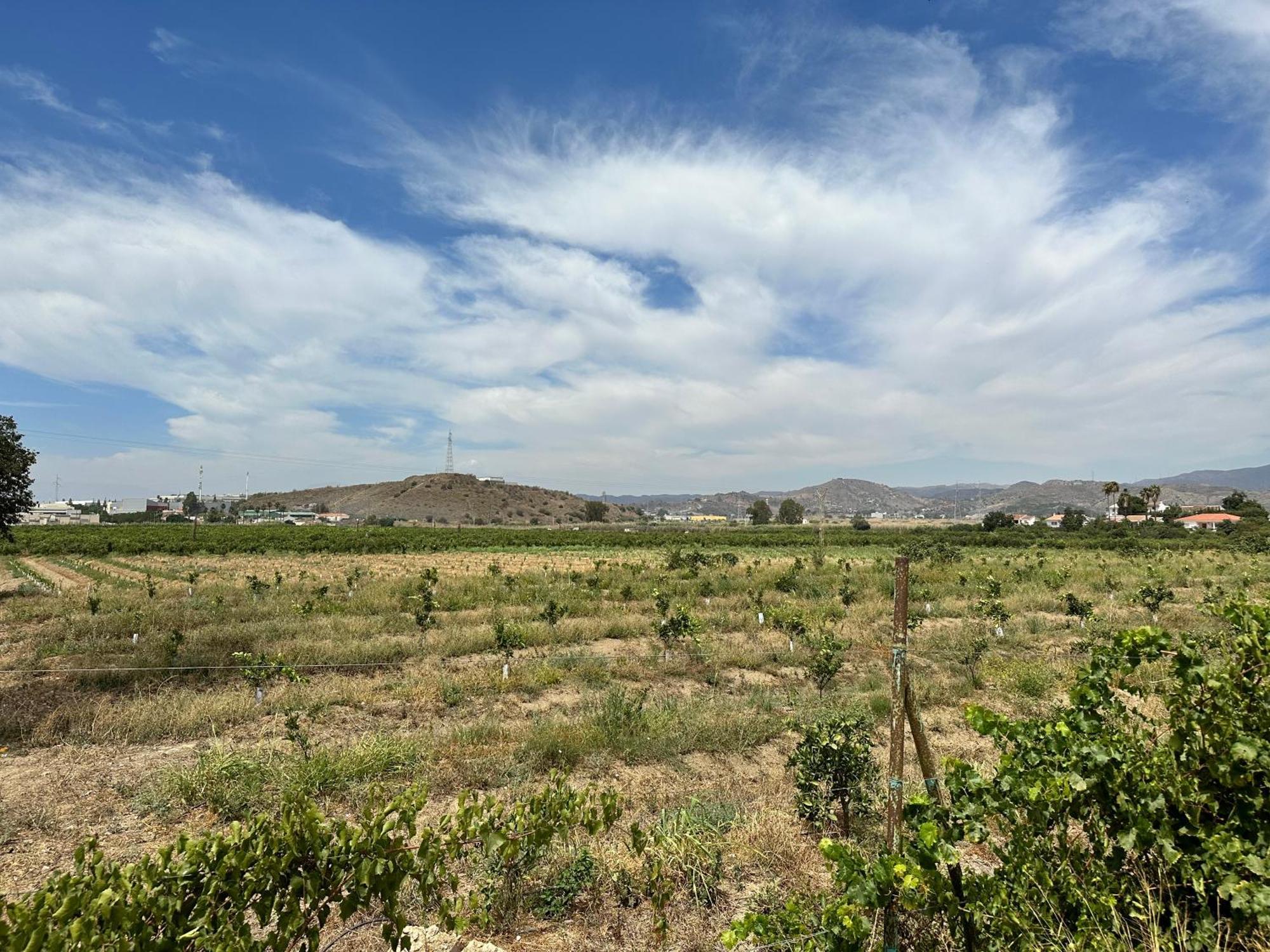 Vakantiehuis Casa Rural Emilio Con 4 *